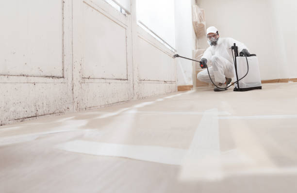 Black mold remediation team in Parrish
